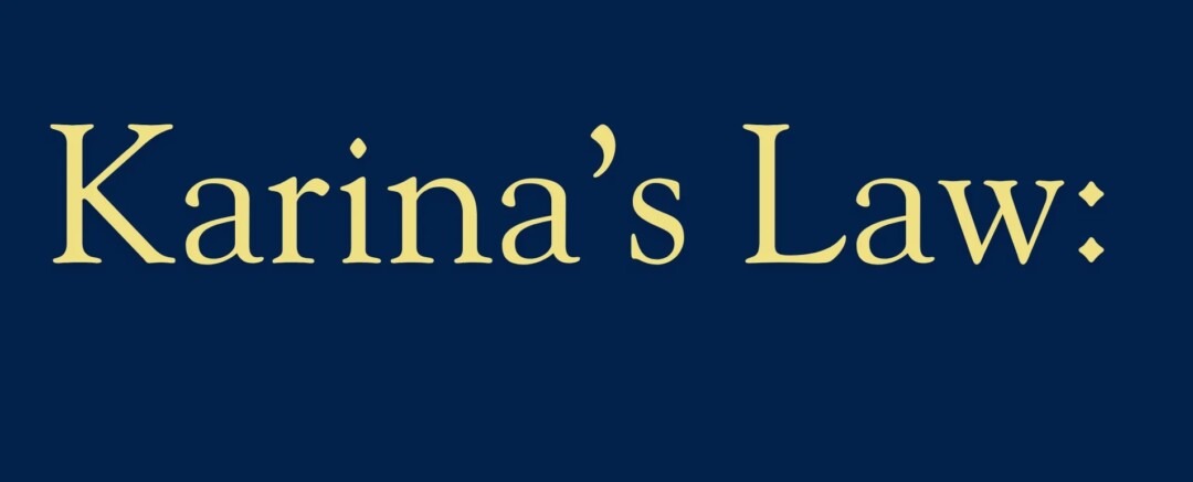 Karina's Law Strengthens Protections for Survivors in Illinois