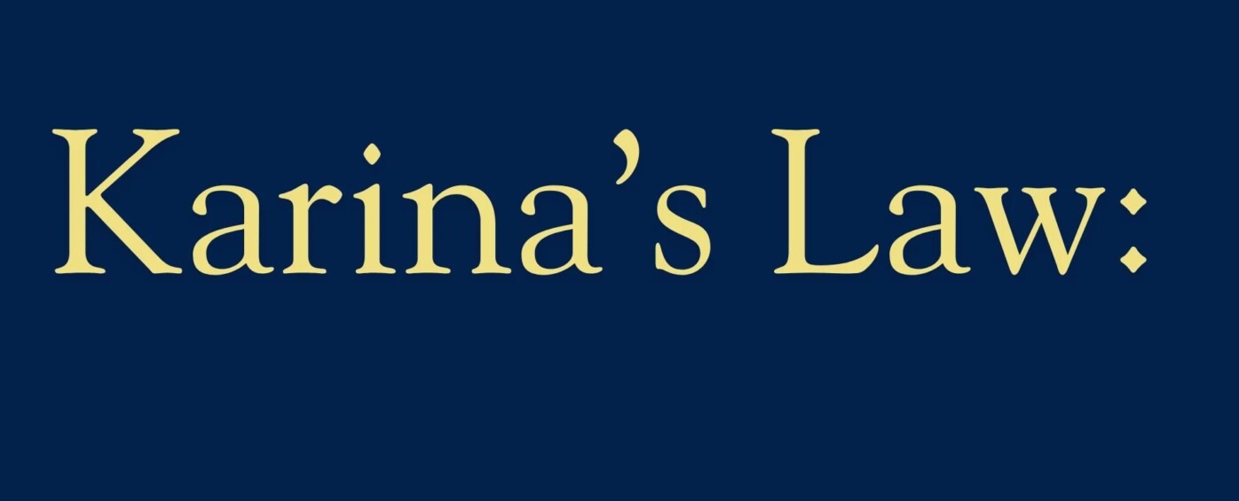 Karina's Law Strengthens Protections for Survivors in Illinois